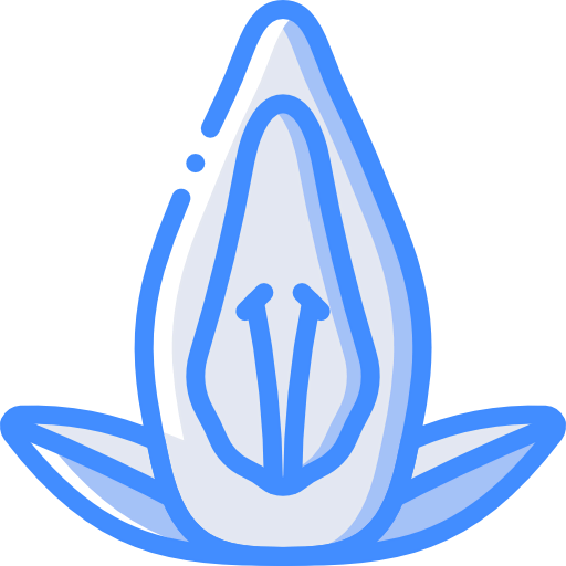 Acanthaceae icon