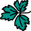 Parsley icon 64x64