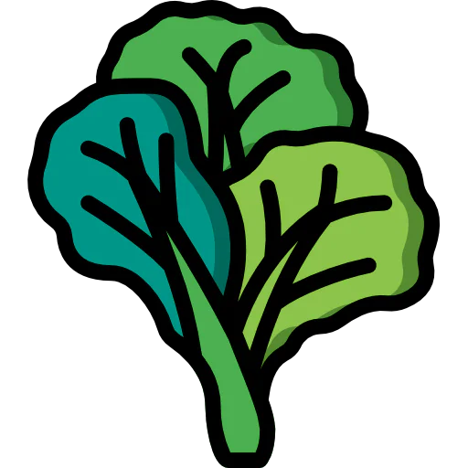 Cabbage icon