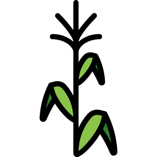Corn icon