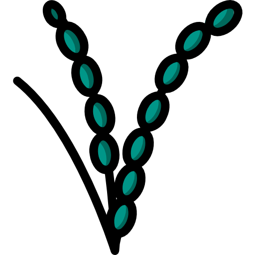 Rice icon