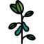 Soybean Ikona 64x64