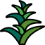 Bromeliaceae icon 64x64