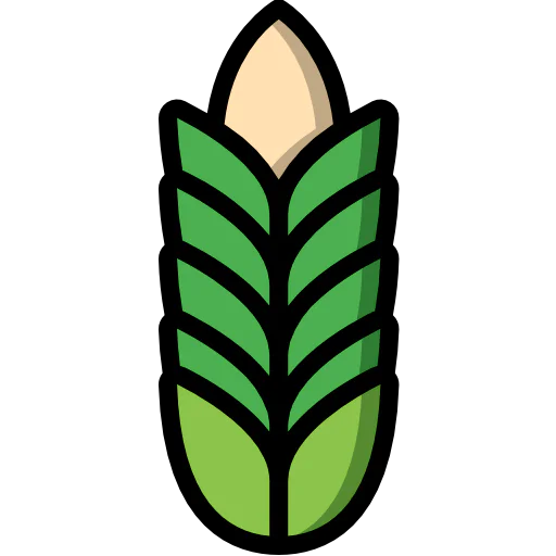 Wheat icon