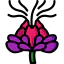 Safflower icon 64x64