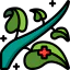 Herbal іконка 64x64