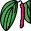 Pepper icon 64x64