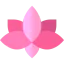 Lotus flower icon 64x64