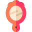 Mirror icon 64x64