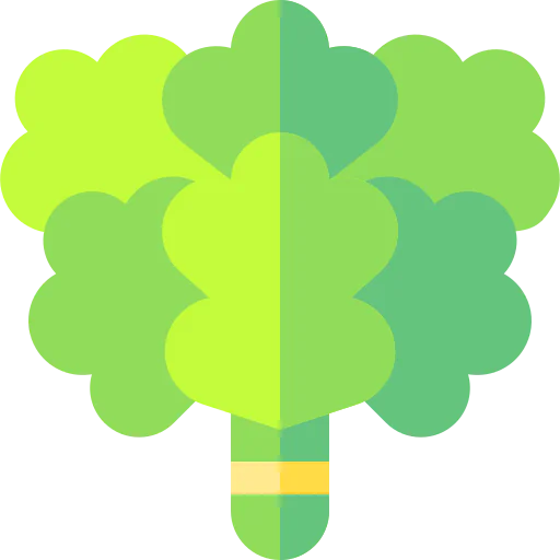Oak icon