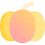Pumpkin icon 64x64