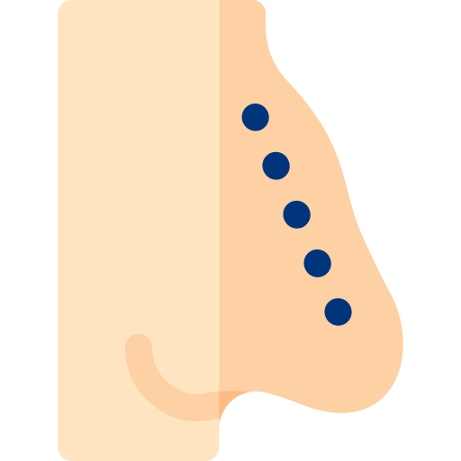 Nose icon