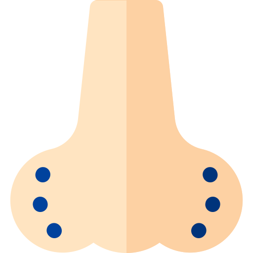 Nose icon