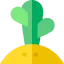 Cactus icon 64x64