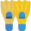 Flippers icon 64x64