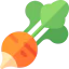 Radish icon 64x64