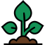 Sprout icon 64x64