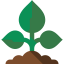 Sprout icon 64x64