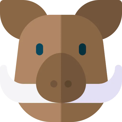 Boar icon