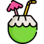 Coconut icon 64x64