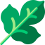 Leaf icon 64x64