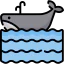 Whale icon 64x64