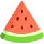 Watermelon icon 64x64