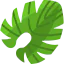 Leaf icon 64x64