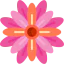 Flower icon 64x64