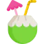 Coconut icon 64x64
