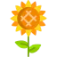 Sunflower icon 64x64