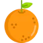 Orange icon 64x64