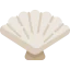 Shell icône 64x64