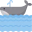 Whale icon 64x64