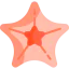 Starfish icon 64x64