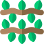 Vines icon 64x64