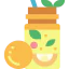 Juice icon 64x64