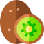 Kiwi icon 64x64