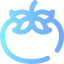 Tomato icon 64x64