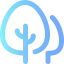 Pine icon 64x64
