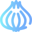 Onion icon 64x64