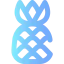 Pineapple icon 64x64