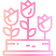 Tulip icon 64x64