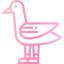 Dove icon 64x64