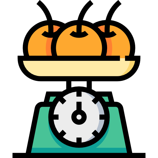Scale icon