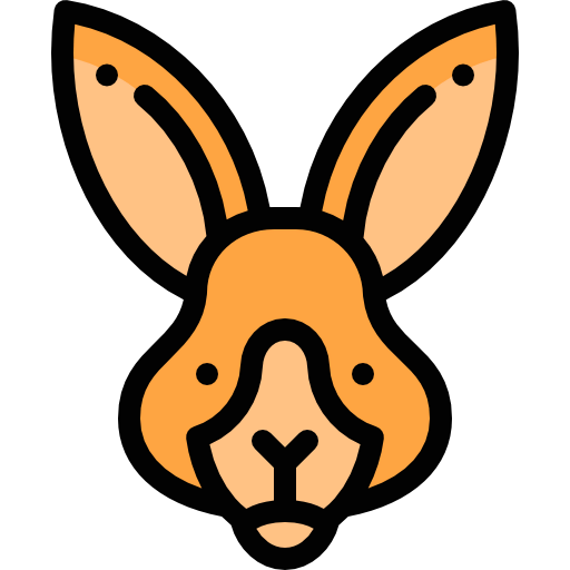 Kangaroo icon