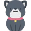 Dog icon 64x64