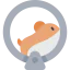 Hamster wheel Symbol 64x64
