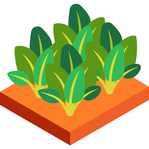 Spinach icon