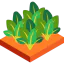 Spinach biểu tượng 64x64